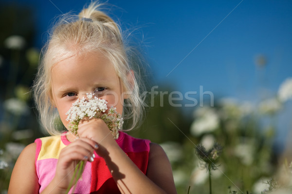香味 夏天 尼斯 年輕的女孩 天空 草 商業照片 © Kzenon