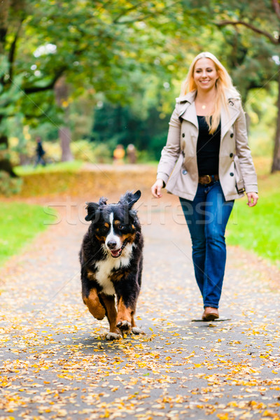 Woman and dog at retrieving stick game Stock photo © Kzenon