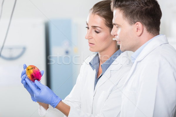 Scientists in laboratory regarding sample in petri plate Stock photo © Kzenon