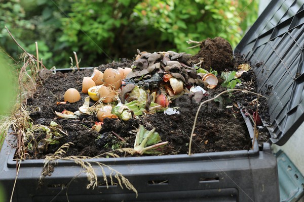Stock photo:  composter
