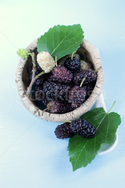mulberry Stock photo © laciatek