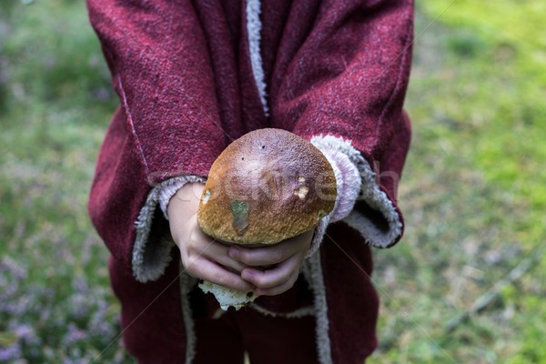 Vad tinóru gomba kezek gyermek erdő étel Stock fotó © laciatek