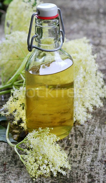 Elderflower syrup (sambucus nigra)  Stock photo © laciatek