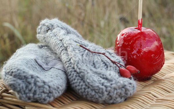 gloves and candy apple Stock photo © laciatek