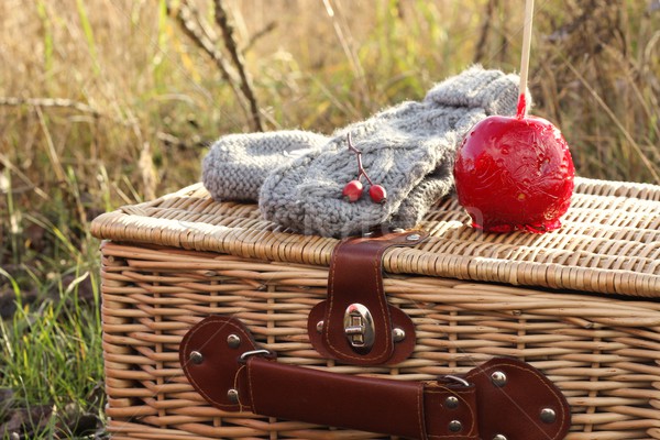 autumn picnic Stock photo © laciatek