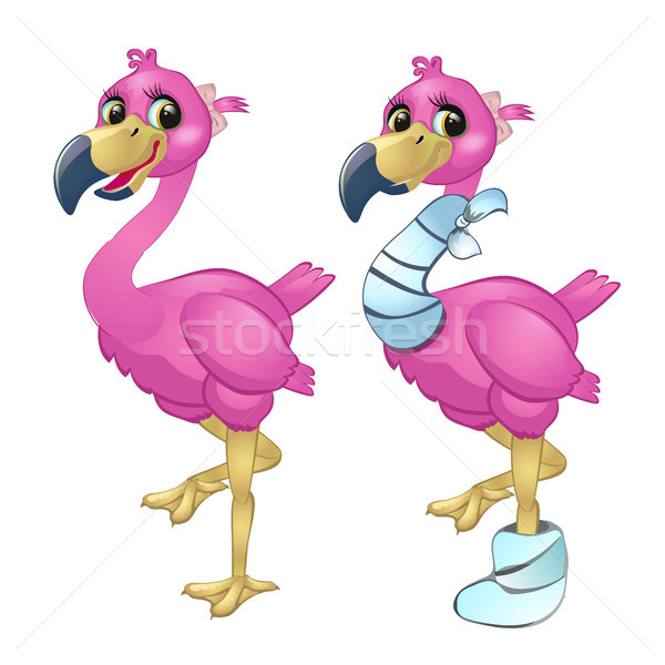 Healthy and diseased flamingo isolated on white background. Vector cartoon close-up illustration. Stock photo © Lady-Luck