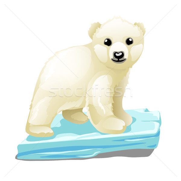 Cute polar bear floats on a drifting ice floe isolated on white background. Vector illustration. Stock photo © Lady-Luck