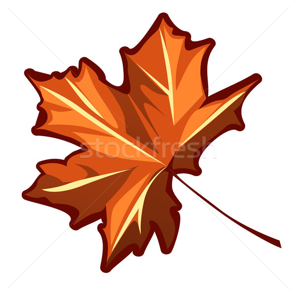 Сток-фото: осень · Maple · Leaf · изолированный · белый · вектора · Cartoon