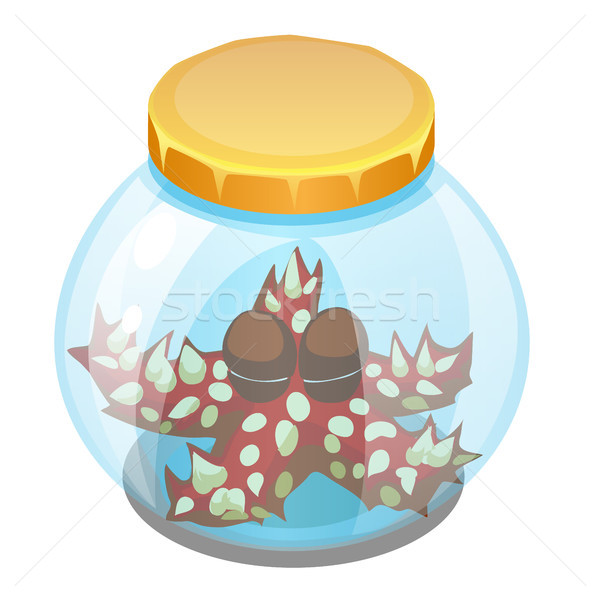 Сток-фото: Cartoon · Starfish · спальный · стекла · банку · изолированный