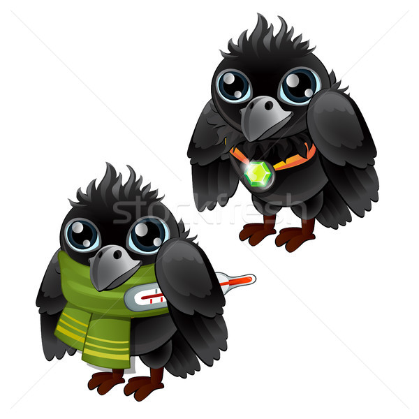 Stock photo: Healthy and diseased jackdaw isolated on white background. Vector cartoon close-up illustration.