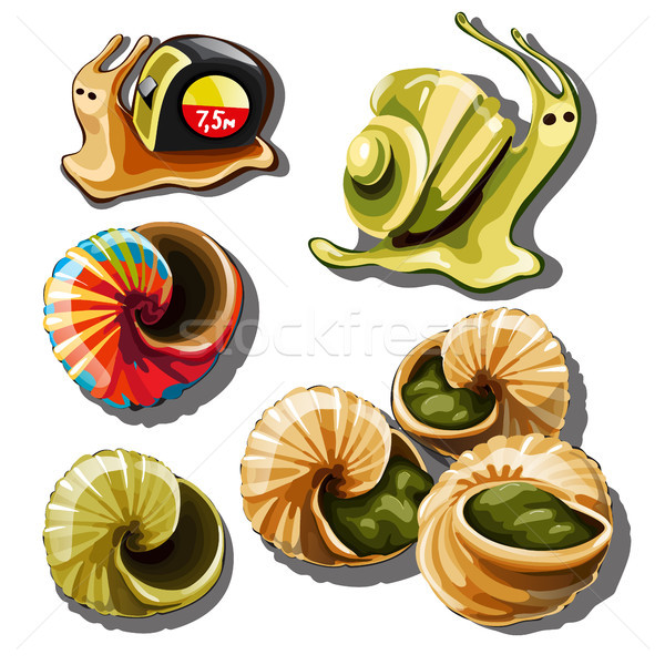 The set of objects on the subject of snails isolated on white background. Vector cartoon close-up il Stock photo © Lady-Luck