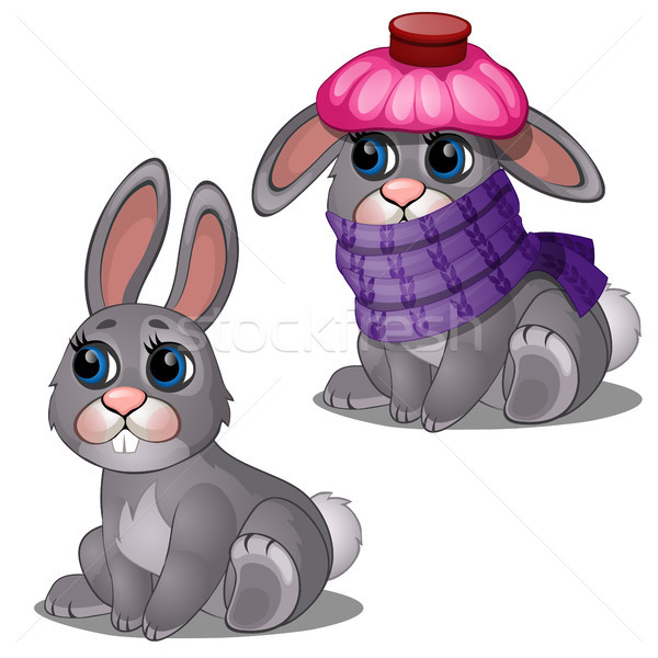 Healthy and diseased cute hare isolated on white background. Vector cartoon close-up illustration. Stock photo © Lady-Luck