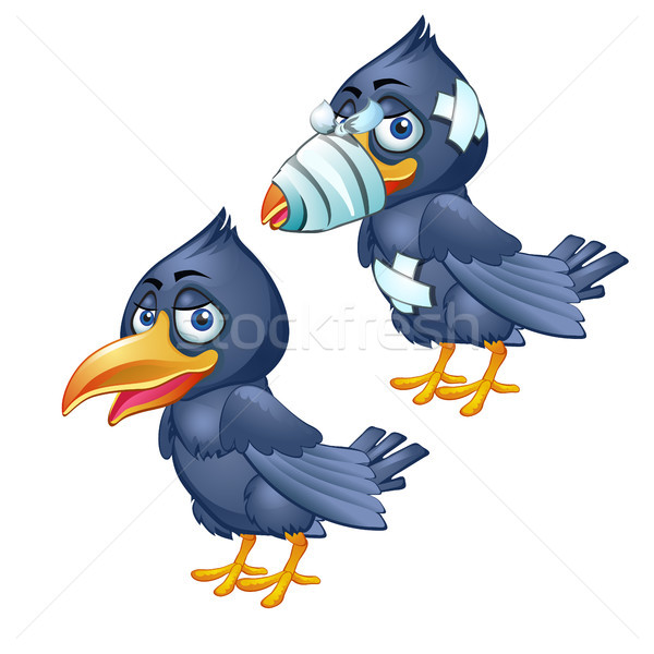 Healthy and diseased crow isolated on a white background. Vector cartoon close-up illustration. Stock photo © Lady-Luck