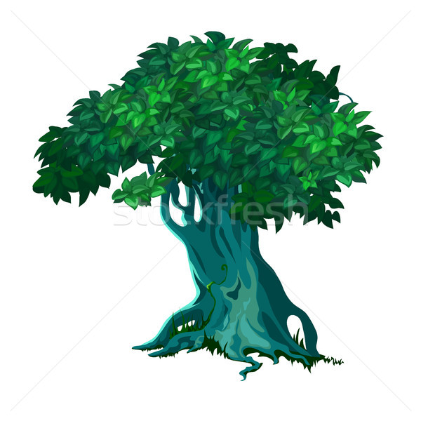 Lonely old deciduous tree isolated on white background. Vector cartoon close-up illustration. Stock photo © Lady-Luck