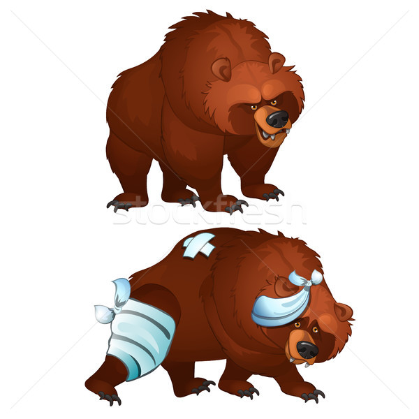 Healthy and diseased bear isolated on white background. Vector cartoon close-up illustration. Stock photo © Lady-Luck