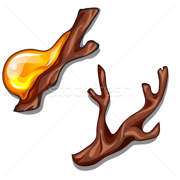A branch dripping with resin isolated on a white background. Vector illustration. Stock photo © Lady-Luck