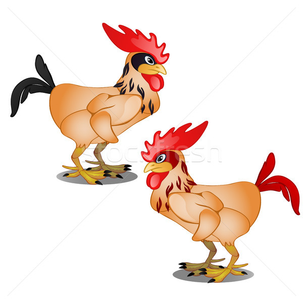 Two animated cartoon plucked rooster with black and red tail isolated on white background. Vector il Stock photo © Lady-Luck