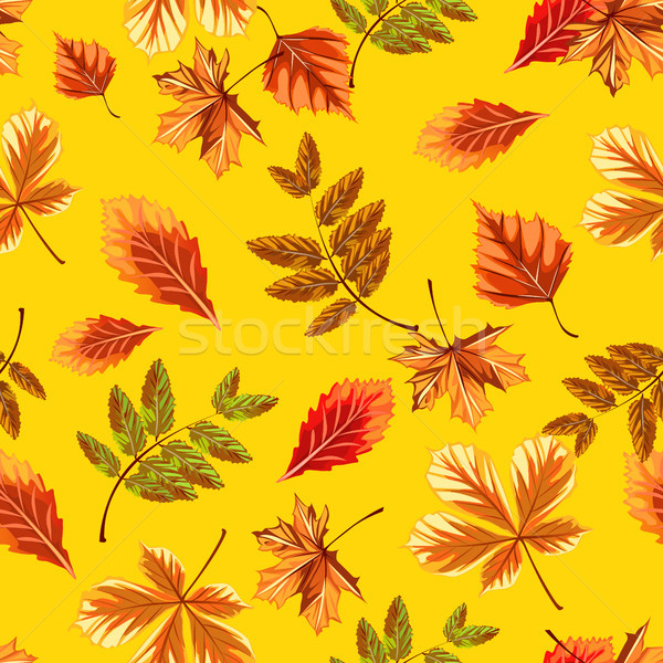 Zdjęcia stock: Tekstury · jesienią · drzewo · pozostawia · odizolowany · żółty