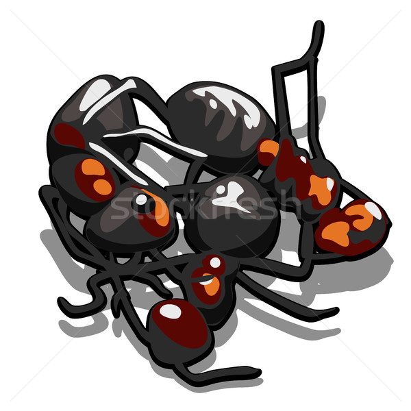 Three black ant are locked in a clump isolated on white background. Vector cartoon close-up illustra Stock photo © Lady-Luck