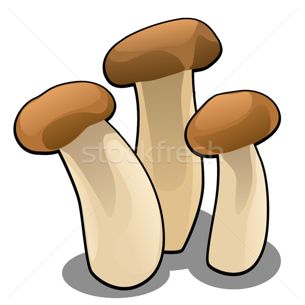 Stock photo: Group of forest cartoon mushrooms isolated on white background close-up. Vector cartoon close-up ill