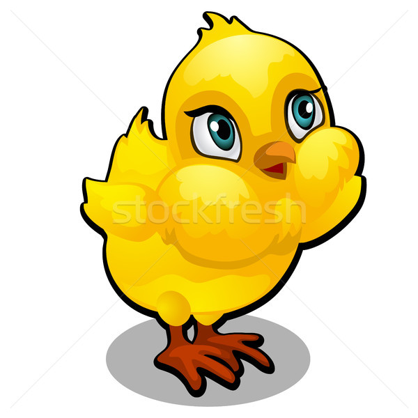 Cute yellow cartoon chick isolated on a white background. Vector cartoon close-up illustration. Stock photo © Lady-Luck