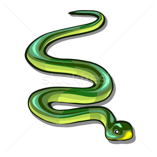 Green snake isolated on white background. Vector cartoon close-up illustration. Stock photo © Lady-Luck