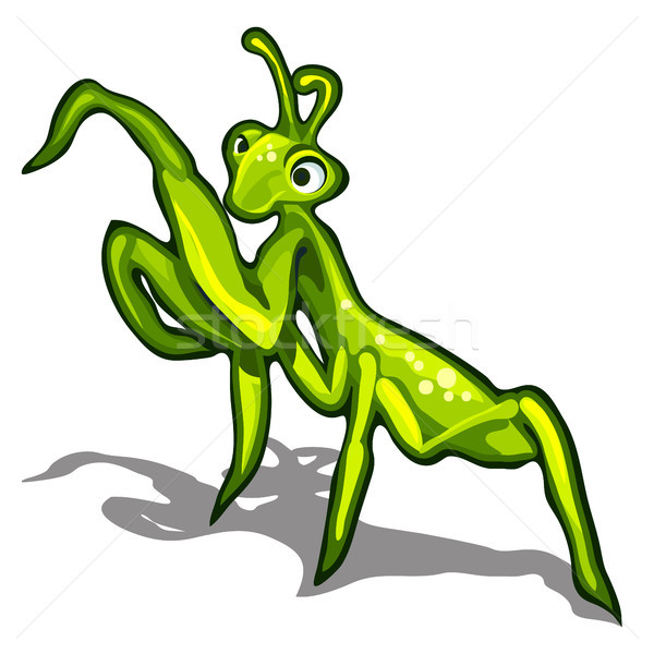 Beetle praying mantis isolated on a white background. Vector illustration. Stock photo © Lady-Luck