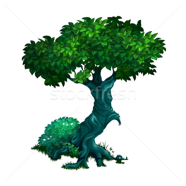 Lonely old deciduous tree isolated on white background. Vector cartoon close-up illustration. Stock photo © Lady-Luck