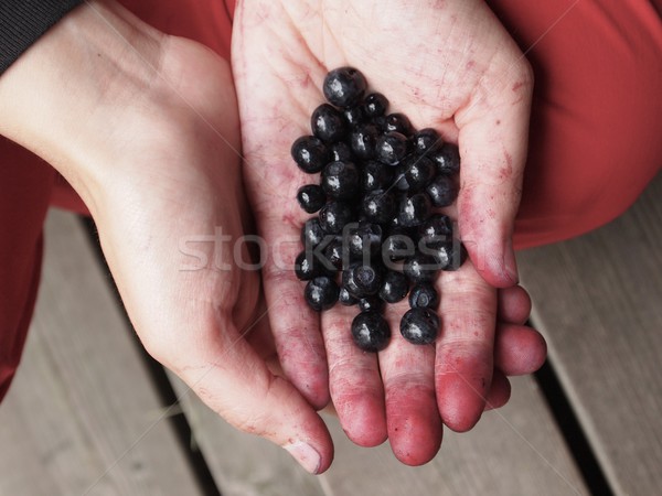 Foto d'archivio: Mirtilli · mano · mani · alimentare · sani · dita