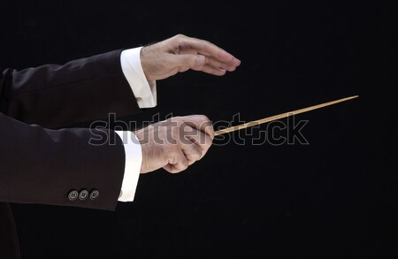 Stock photo: Hands of the director