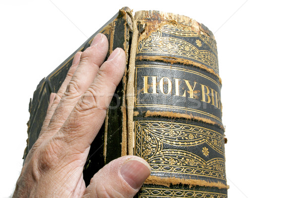 Bible Stock photo © lalito