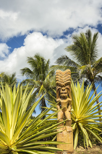 Polineziene cer copaci palmier culoare Imagine de stoc © LAMeeks