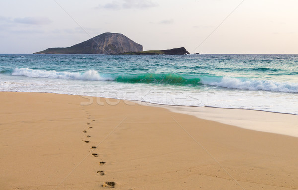Huellas océano establecer líder playa Foto stock © LAMeeks