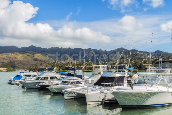 Marina montanhas belo ver montanha alcance Foto stock © LAMeeks