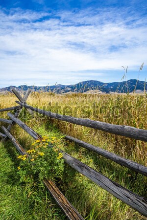 Cerise crique rustique bois clôture bord Photo stock © LAMeeks
