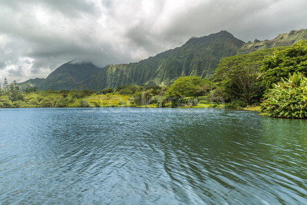 ストックフォト: 庭園 · 湖 · 表示 · 山 · 雲