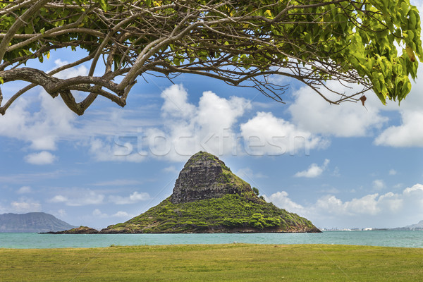 Chinaman's Hat Stock photo © LAMeeks