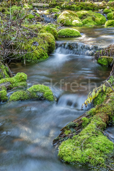Rock stream mos gedekt rotsen canyon Stockfoto © LAMeeks
