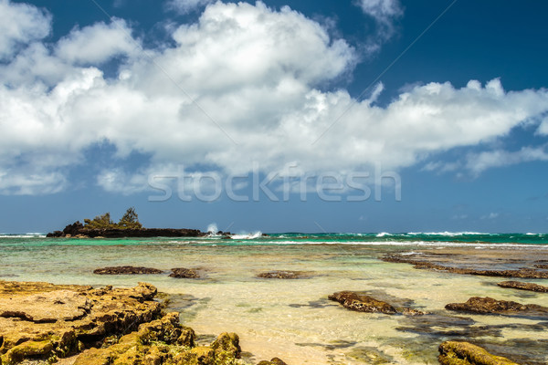 Stockfoto: Klein · kalksteen · eiland · af · kust · strand