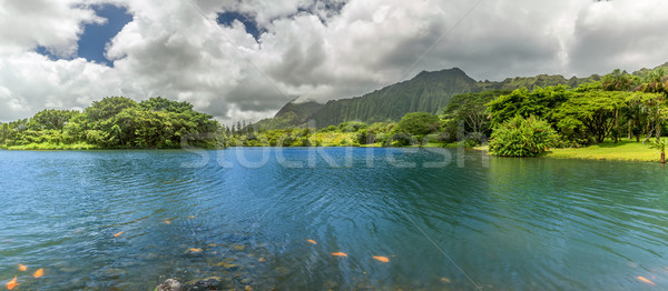 Jezioro panorama panoramiczny widoku ogrody Zdjęcia stock © LAMeeks