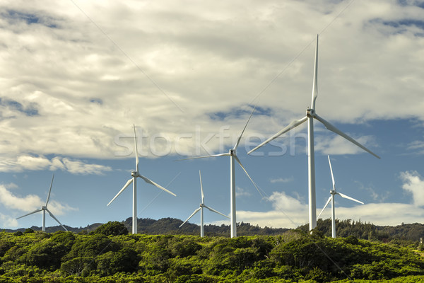 Kahuku Wind Farm Stock photo © LAMeeks