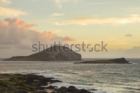 Rabbit and Turtle Island at sunrise Stock photo © LAMeeks