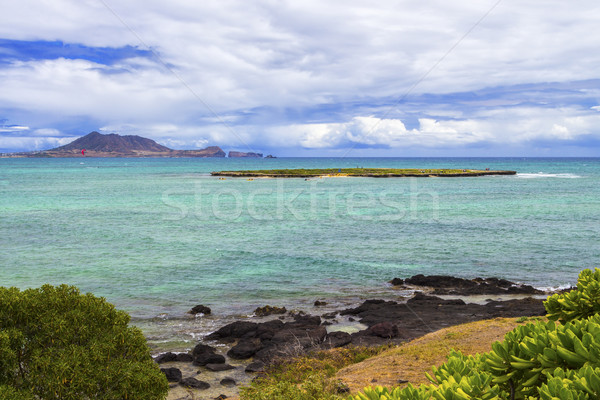 Flat Island Stock photo © LAMeeks