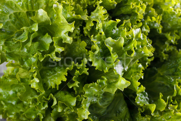 Groene salade sla vers voorjaar voedsel Stockfoto © Lana_M