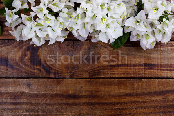 Houten houten frame grens bloem frame schoonheid Stockfoto © Lana_M