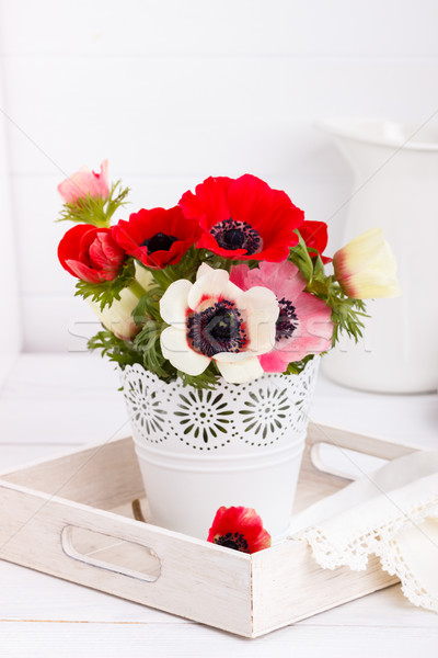 White and red anemone flowers Stock photo © Lana_M