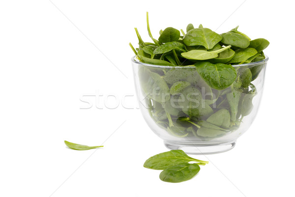 Spinach Stock photo © Lana_M