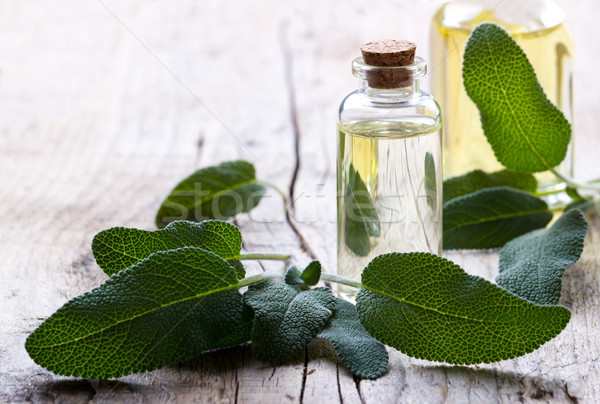 Foto stock: Salvia · botella · medicina · alternativa · spa · cuerpo