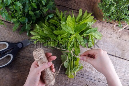 Bos vers mint tuinman omhoog handen Stockfoto © Lana_M