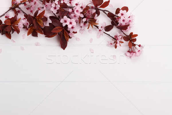 Roze voorjaar bloesem tak witte houten tafel Stockfoto © Lana_M
